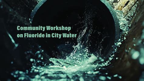 Public Workshop Regarding Fluoride in City Water, Bartow Civic Center ...