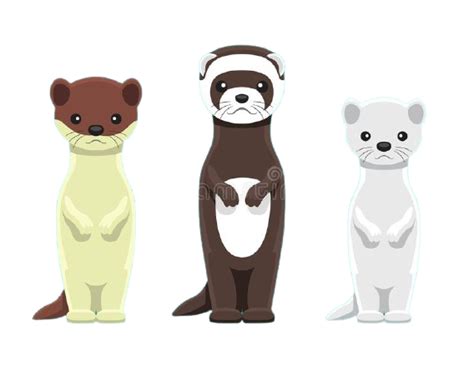 Random animal generator