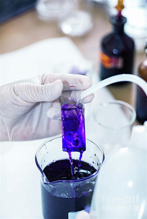 Image result for Microscope Staining