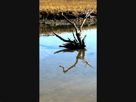Agua Hedionda Lagoon: Photo Of The Day | Carlsbad, CA Patch
