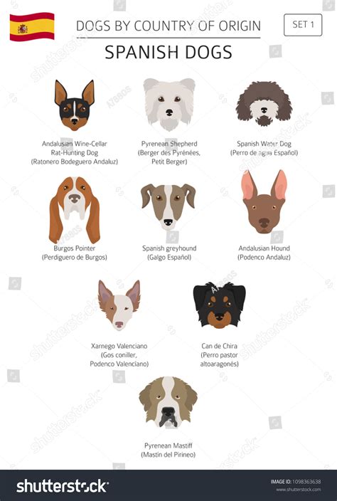 What Is The Origin Of Dog