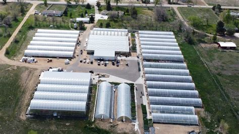 HOME - The Flower Bin