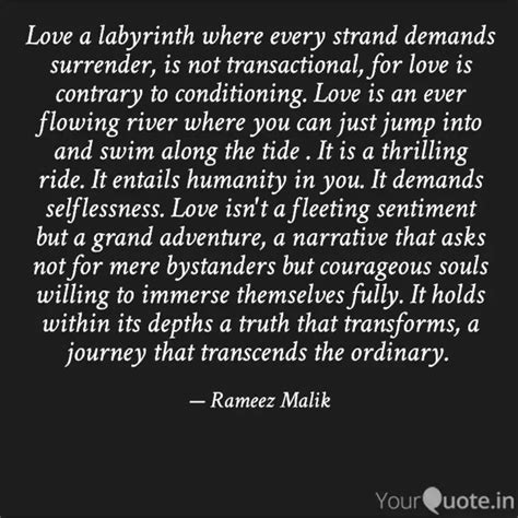 Love a labyrinth where ev... | Quotes & Writings by Rameez Malik ...