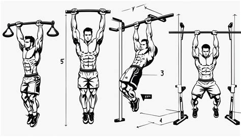 Image result for Pull Up Variations
