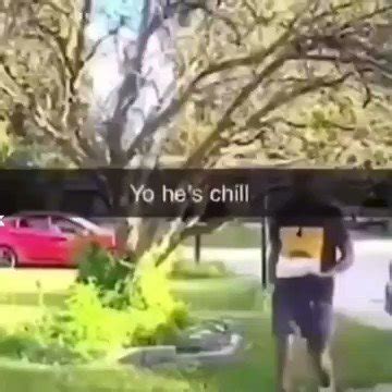 Break.com 的图像结果