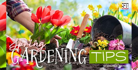 Image result for Spring Gardening Tips