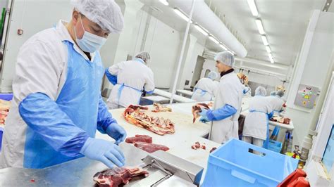 Regulaciones y Normativas en la Industria Alimentaria