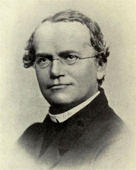 Father of Modern Genetic : Sir Gregor Johann Mendel