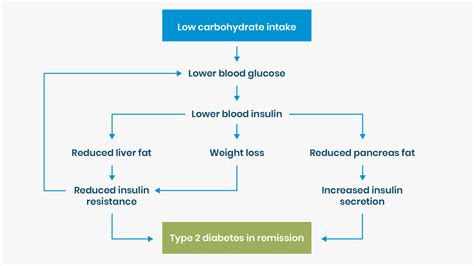 Dr David Cavan – specialist in type 2 diabetes remission