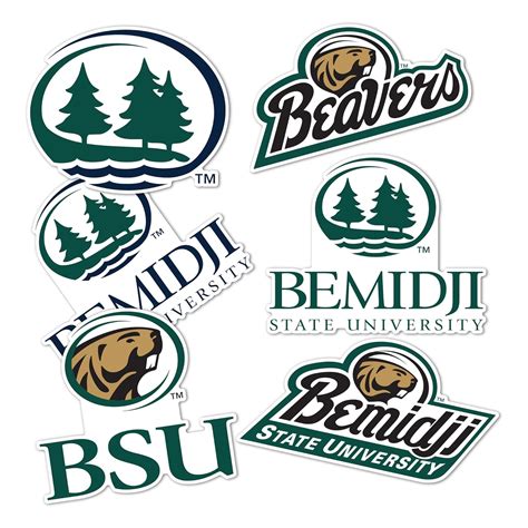 Bemidji State University Full Sheet Sticker Vinyl Decal Laptop Water ...