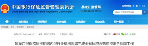 违规上调贷款分类形态 光大银行黑龙江分行被罚20万-千龙网·中国首都网