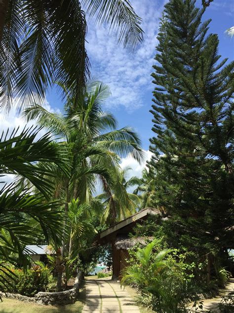 ALLBA'S HOMESTAY (Moalboal, Cebu Island) - Specialty Inn Reviews ...