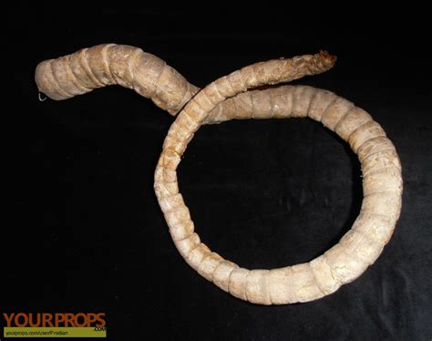 Image result for Alien vs Predator Chestburster