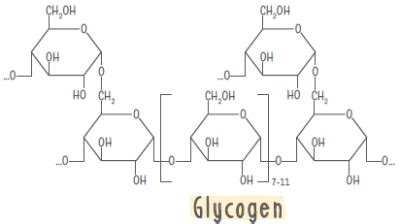 Biomolecules Class 12 Notes Chemistry Chapter 14 CBSE