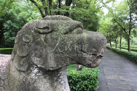 南京：600多年石刻局部现绿色苔藓-人民图片网
