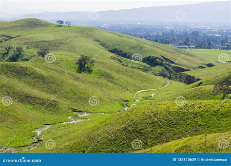 Temporary Creek Flowing among the Green Hills and Valleys in Coyote ...