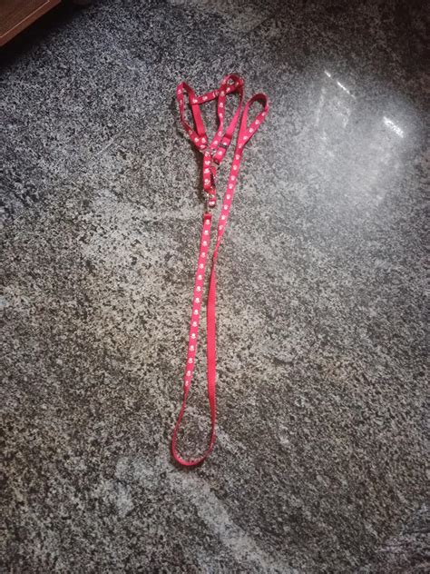 PSK PET MART Dog Nylon Paw Printed Harness Belt, Leash and Collar Set ...