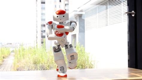 Nao Le Robot 的图像结果