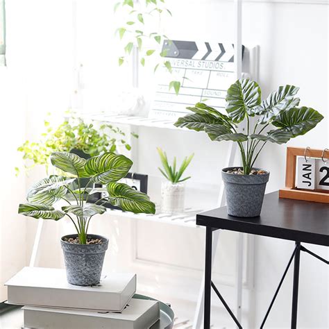 Artificial Plant in Pot Online - Premium Artificial Plant | Nestasia
