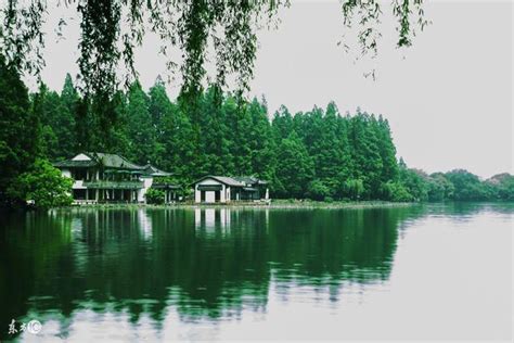 孤山寺北贾亭西，水面初平云脚底——西湖 - 每日头条