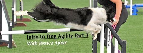 Image result for Agility Training Tips