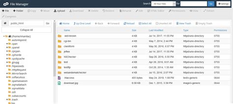 cPanel File Manager 的图像结果