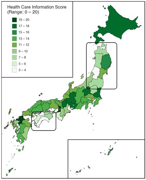 Evaluating Local Multilingual Health Care Information Environments on ...