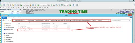 Инструкция по установке советника Smart-Machine Trial — Teletype