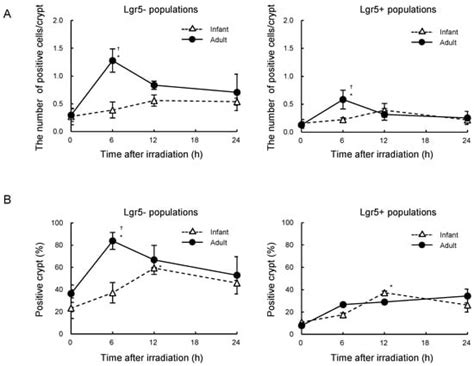 Age-Dependent Differences in Radiation-Induced DNA Damage Responses in ...