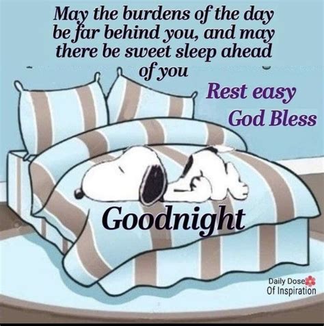 101 good night memes for when you want funny goodnight wishes – Artofit