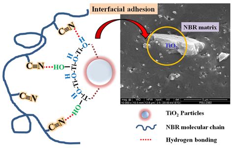High Performance of Titanium Dioxide Reinforced Acrylonitrile Butadiene ...