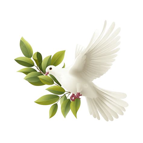 White Dove Carrying An Olive Branch, Dove With Olive Branch, Peaceful ...