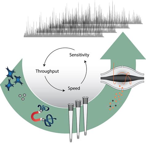 Image result for DIA Filing Structure