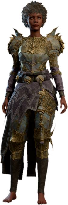 Blackguard's Plate - bg3.wiki