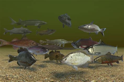 Image result for Unity Fish Code