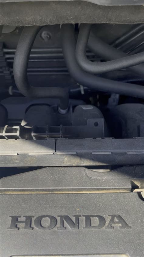 Car Making Loud Growling Noise: Complete Diagnostic Guide