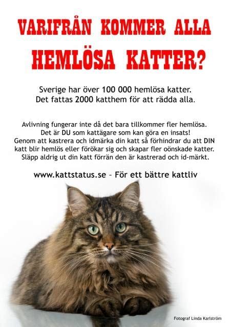 SmålandsKatten - SmålandsKatten added a new photo.