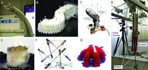 Soft Robot Machine Learning 的图像结果
