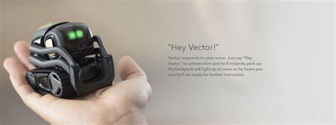 Image result for Vector Setup