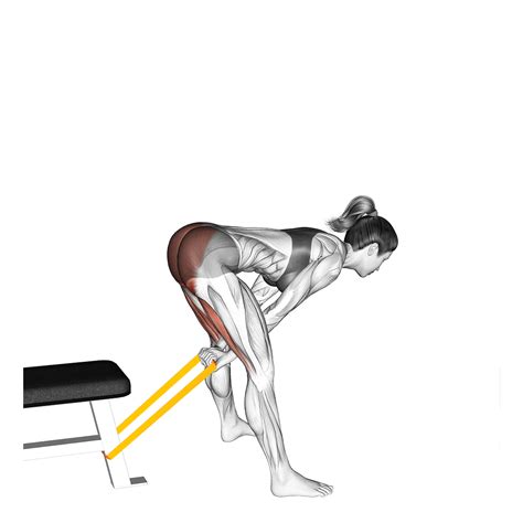 7 Best Resistance Band Hamstring Exercises (with Pictures!) - Inspire US