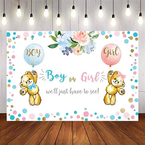 Buy Avezano Boy or Girl Gender Reveal Background Blue or Pink Gender ...