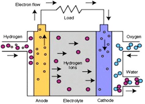 Fuel Cell Structure 的图像结果
