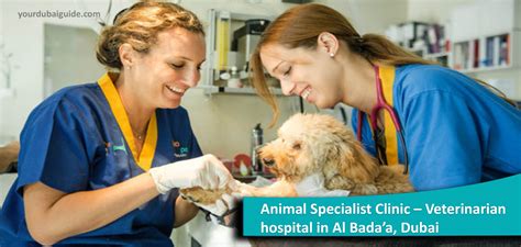 Animal Specialist Clinic – Veterinarian hospital in Al Bada’a, Dubai ...