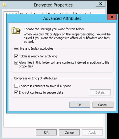 Encrypting File System 的图像结果