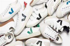 Image result for Veja Shoes New York