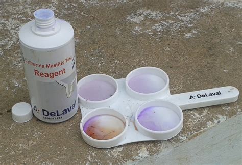 Krishi Vigyana Kendra - Home