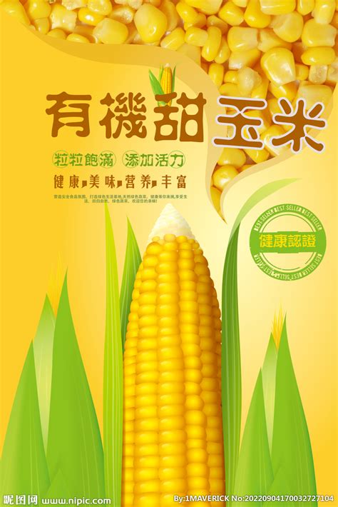 蓝色简洁背景玉米种子促销宣传种子海报图片下载 - 觅知网