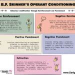 Image result for Key Controlling Idea Examples