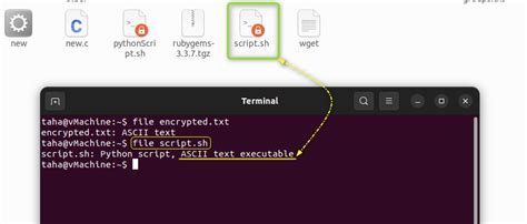 How to Find an Executable File 的图像结果