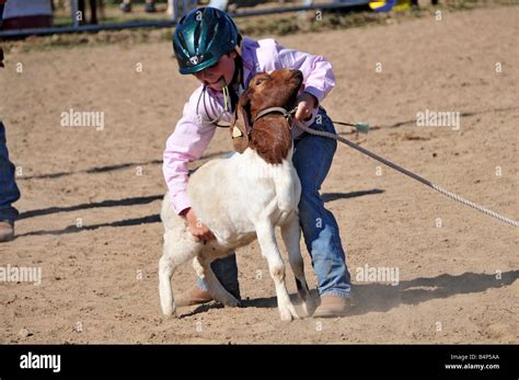 Image result for Girls Team Roping